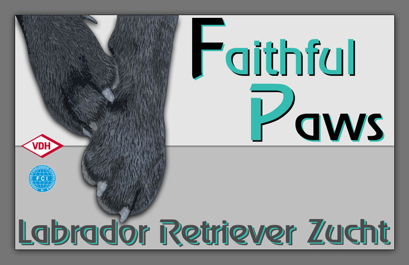 FCI Labrador Retriever Kennel Faithful Paws